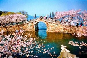 南京无锡苏州旅游攻略-
