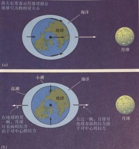 一般来说涨潮和落潮的主要原因是月球的引力-