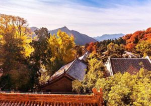 潭柘寺简介-