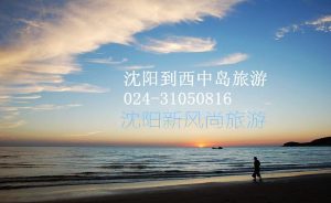 网上怎么报旅游团旅游大连的-