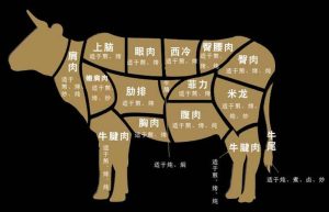牛哪个部位的肉最嫩最好吃-