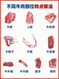 牛肉那个部位肉比较好吃-