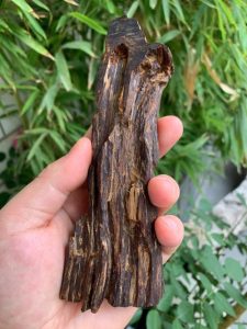 沉香分几种品种哪个最好-