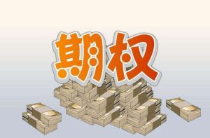 公司给了10万期权有用吗-