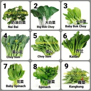 疏菜品名称大全-