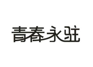 青春永驻下一句是什么-
