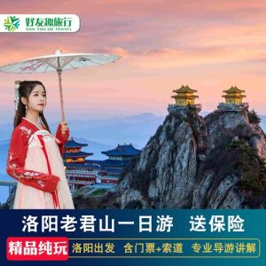 洛阳本地旅游团-