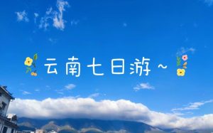 云南七日游跟团多少钱-