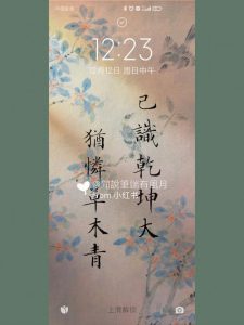 已识乾坤大犹怜草木青-
