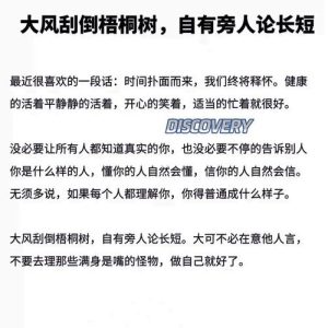 大风刮倒梧桐树自有旁人论长短-