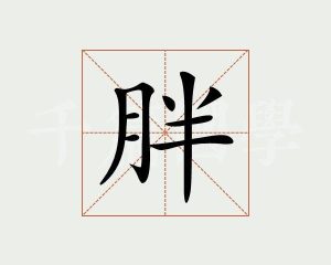 胖能组什么词-