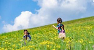 7月带孩子去哪里旅游比较好呢-
