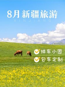 新疆包车定制游-