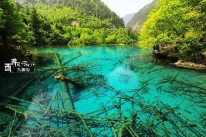 7月适合去哪里旅游比较凉快些-