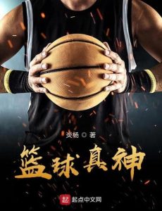 篮球小说排行榜-