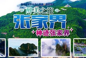 张家界排名前十的旅行社-