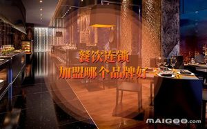 连锁加盟店排行榜-