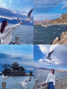 什么时候去大理旅游最合适-