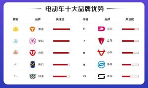 电动车质量排行榜-