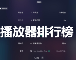 播放器排行榜-
