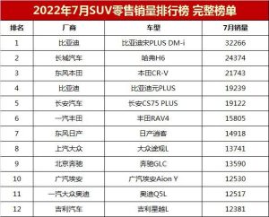 国产汽车排行榜-