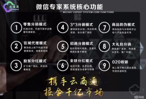 微商加盟项目排行榜-