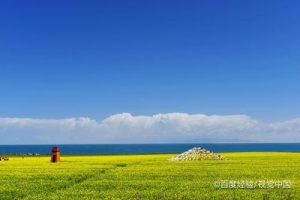 青海五日游-
