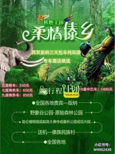 只玩西双版纳纯玩旅游团-