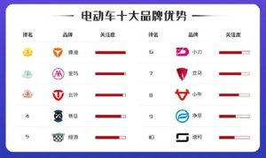 中国电动车排行榜-