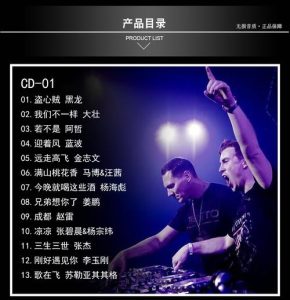 dj歌曲排行榜前十名-