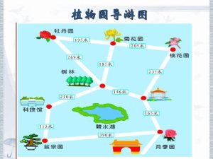 旅游地图制作二年级下册-