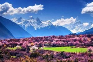 3月份国内最佳旅游地-