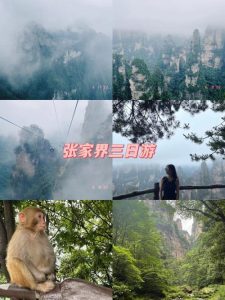 旅游团报名张家界三日游-