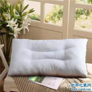 枕十大品牌排行榜-
